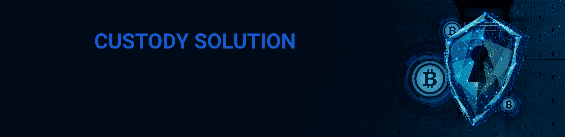 Custody Solution Без имени-5-восстановлено 1 (3)