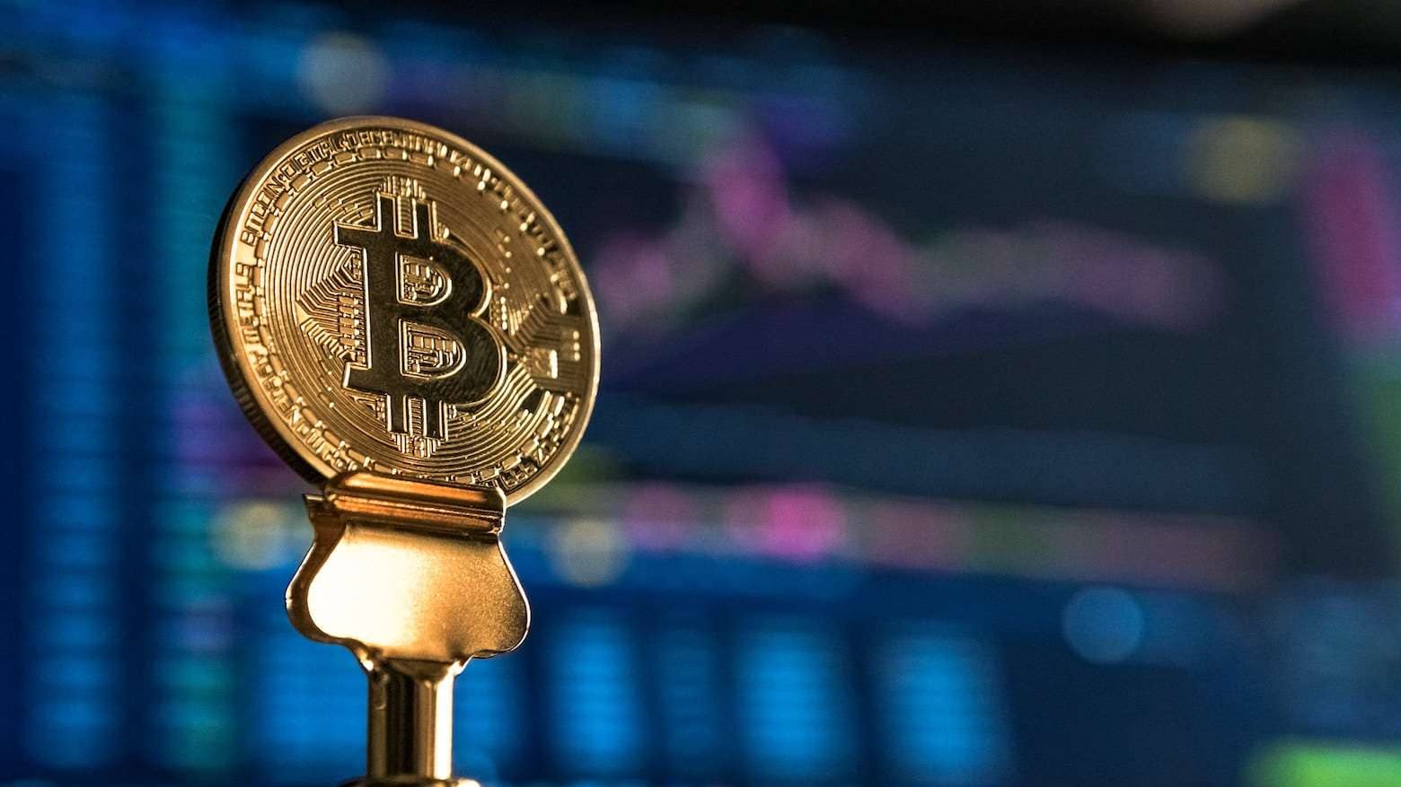 сколько стоит bitcoin