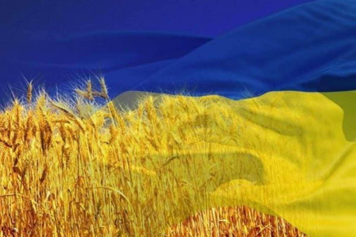 Нацбанк Украины дал оценку падению экономики