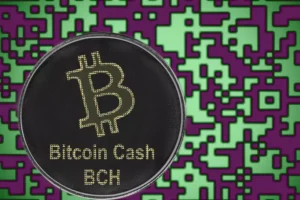 What is Bitcoincash and Its Prospects in 2022